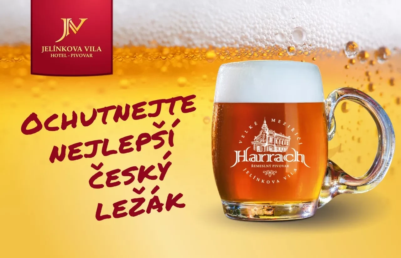 1771592248_lezak